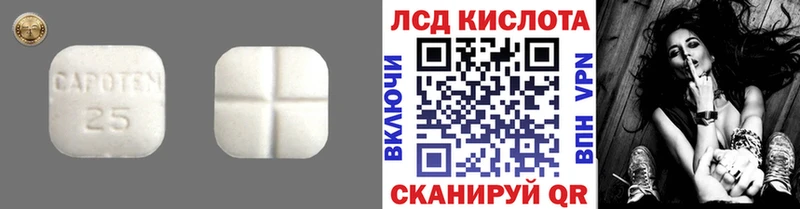Лсд 25 экстази ecstasy  где купить   Дно 