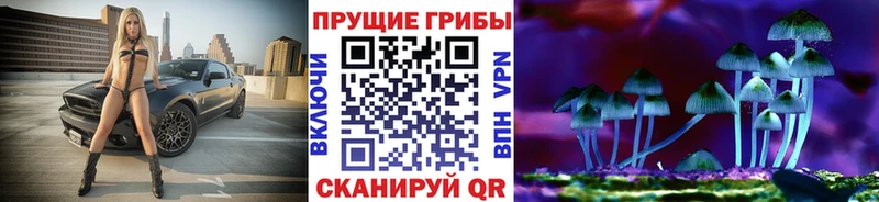 где найти наркотики  Дно  Псилоцибиновые грибы GOLDEN TEACHER 